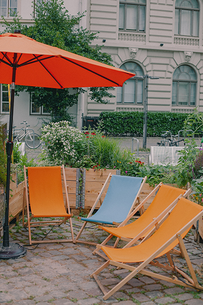 pexels sora 13928473